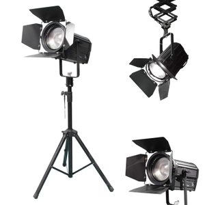 led fresnel spotlight.jpg