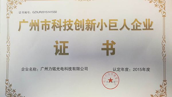 Guangzhou Vangaa Optoelectronic Technology Little Giant Certificate