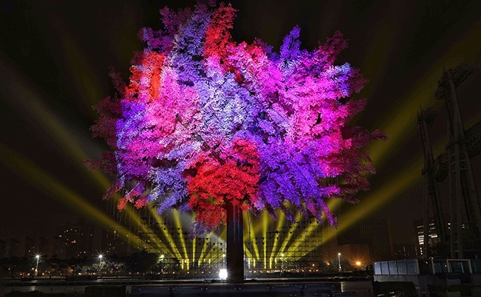 Tree of light